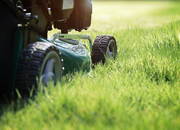 Lawncare garden machinery online